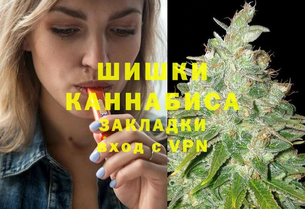 apvp Богданович